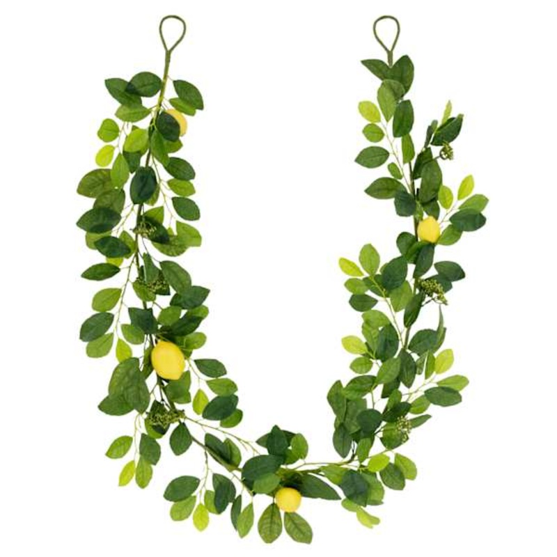Lemon Garland, 72″