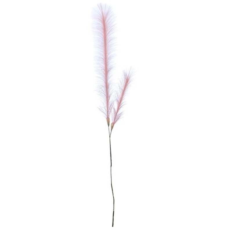 Light Pink Pampas Grass Spray, 49″