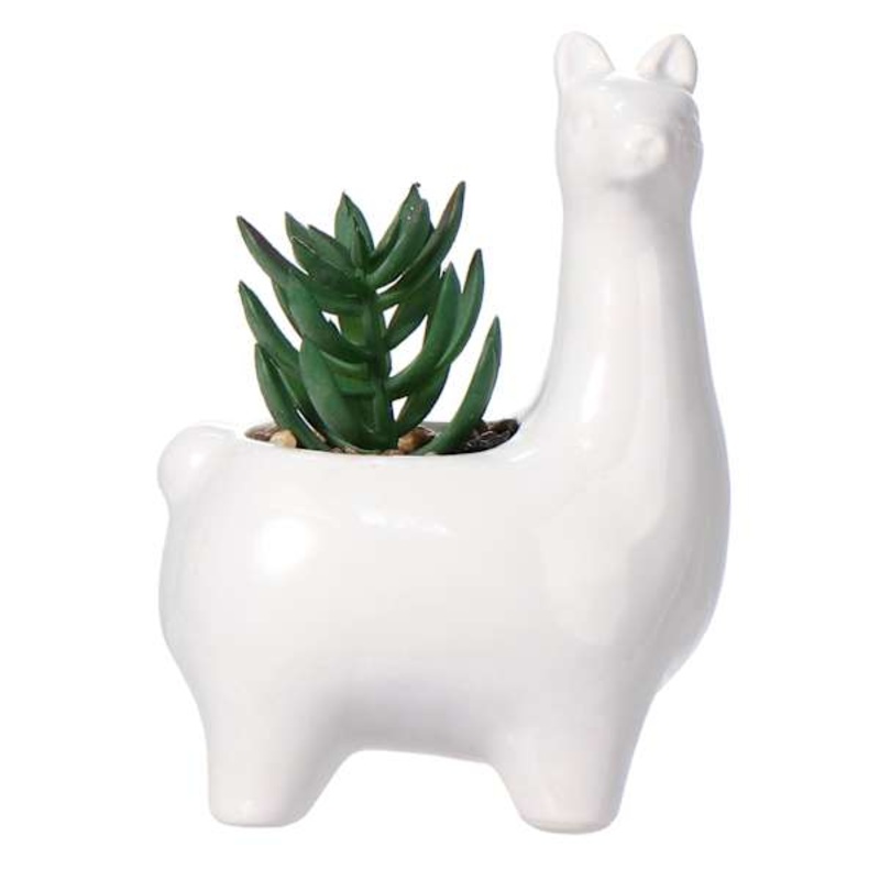 Mini Succulents in Ceramic Llama Pot