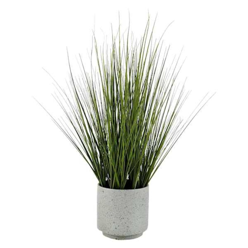 Onion Grass in Cement Pot, 31″