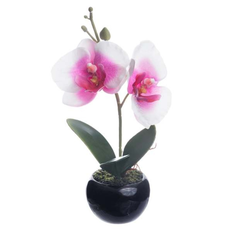 Pink Orchid Flower with Black Planter, 8″