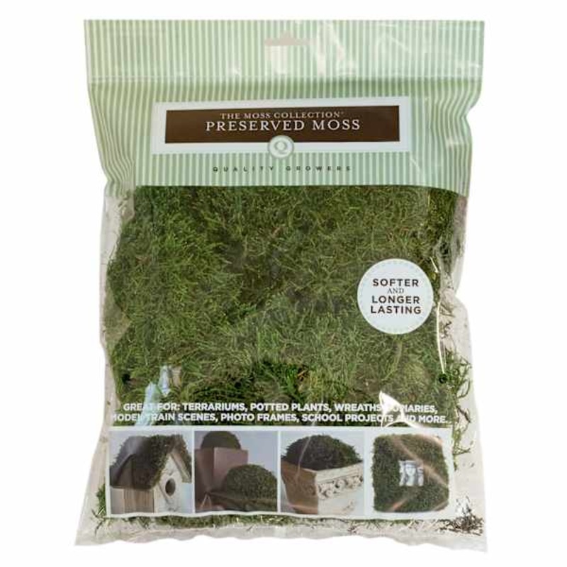 Preserved Sheet Moss, Natural Green