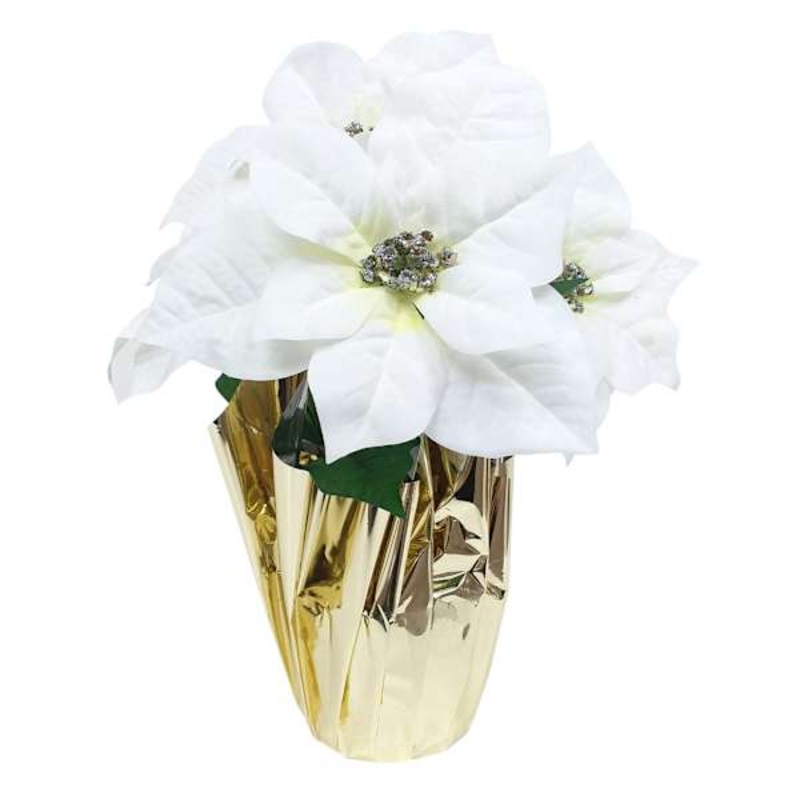 Small White Poinsettias in Gold Foil Pot | Elegant Holiday Decor | At Home