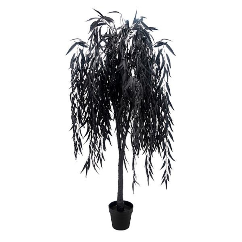 Southern Gothic Black Willow Tree in Pot, 60″ | At Home
