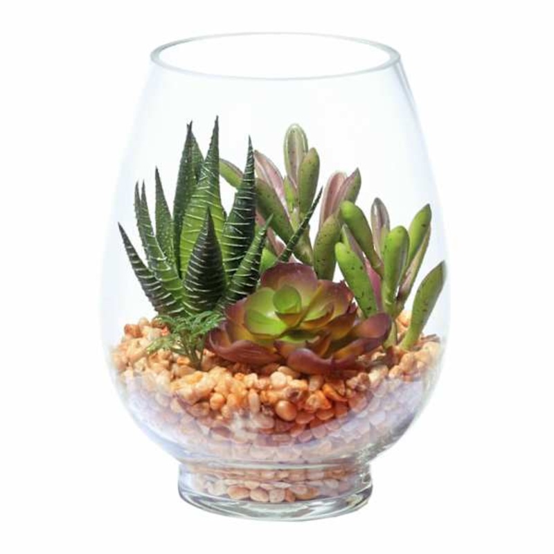 Succulent Mix with Glass Cylinder Planter, 6.5″