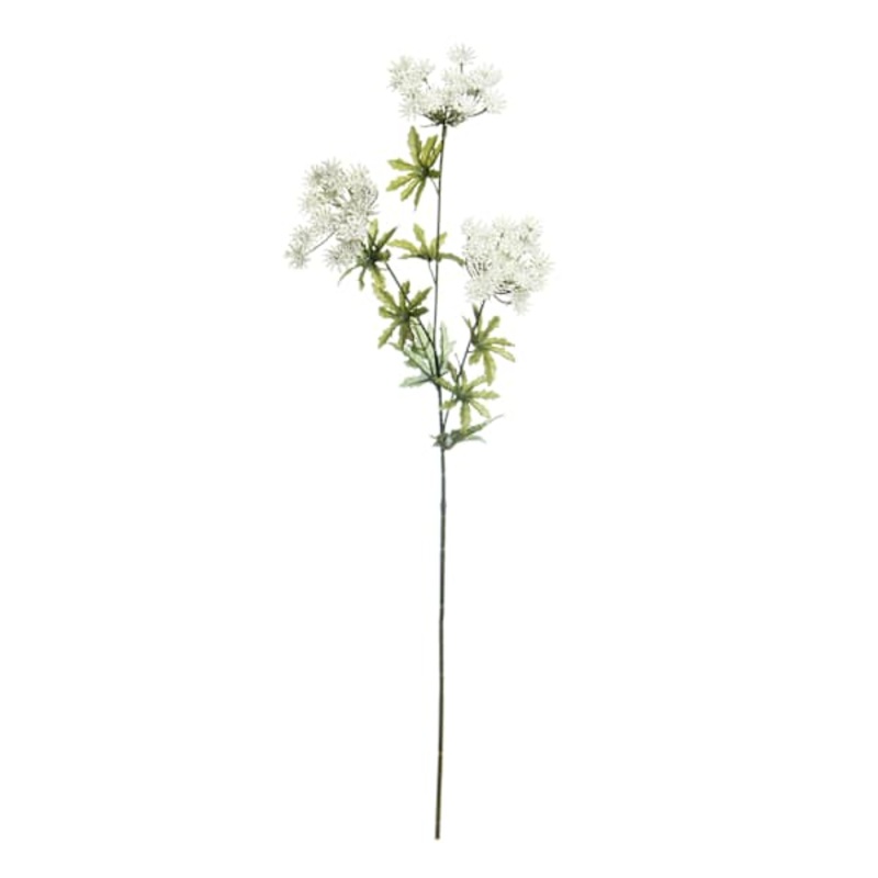 White Queen Anne’s Lace Spray, 31″