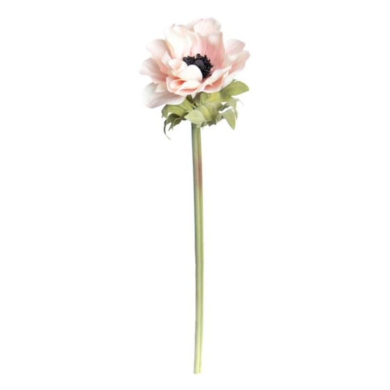 Willow Crossley Light Pink Anemone Stem, 17″