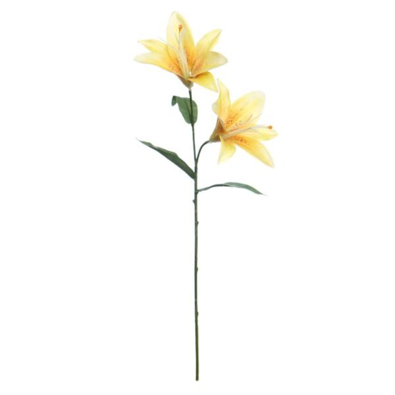 Yellow Casablanca Spray, 23″