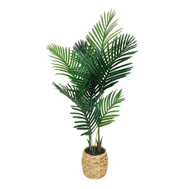 Areca Palm Tree in Basket, 4′