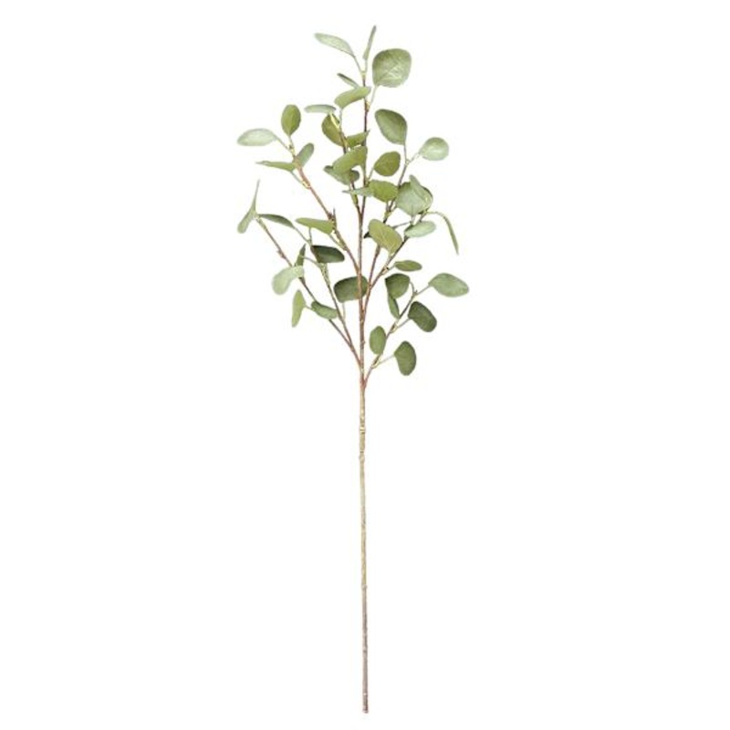 Eucalyptus Stem, 35″