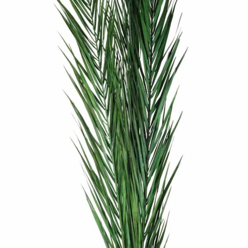 Found & Fable Kager Leaves, 3′-4′