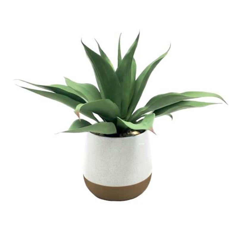 Honeybloom Greenery Plant with White Planter, 14″