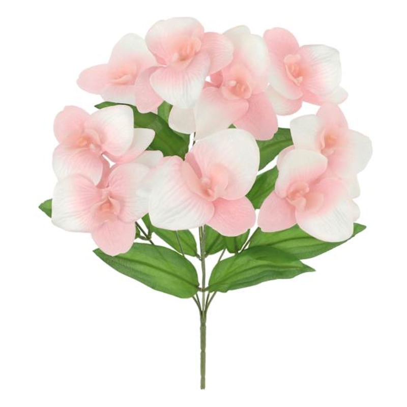 Light Pink Orchid Bush, 18″