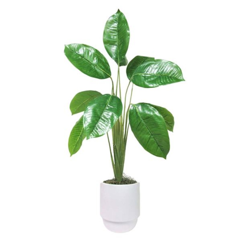Split-Leaf Plant in Layered Ceramic Pot, 36″