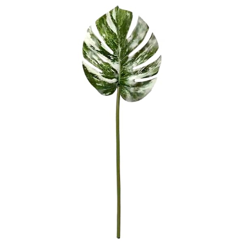 Variegated Monstera Leaf, 27″