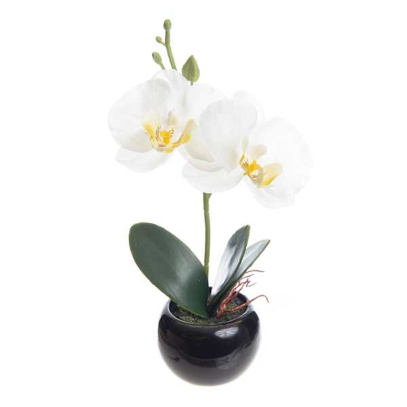 White Orchid Flower with Black Planter, 8″