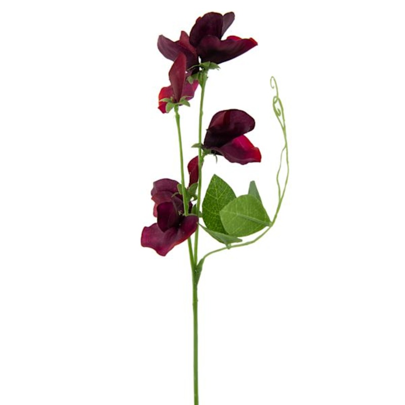 Willow Crossley Burgundy Sweet Pea Floral Pick 12in | At Home
