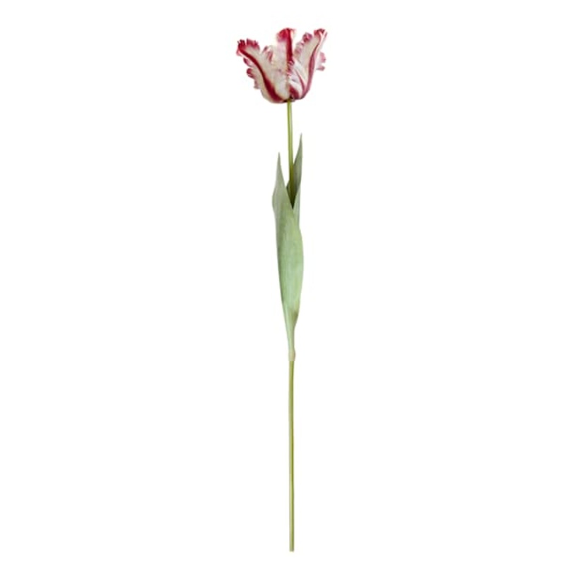 Willow Crossley Red Soft Tulip Floral Pick, 27″