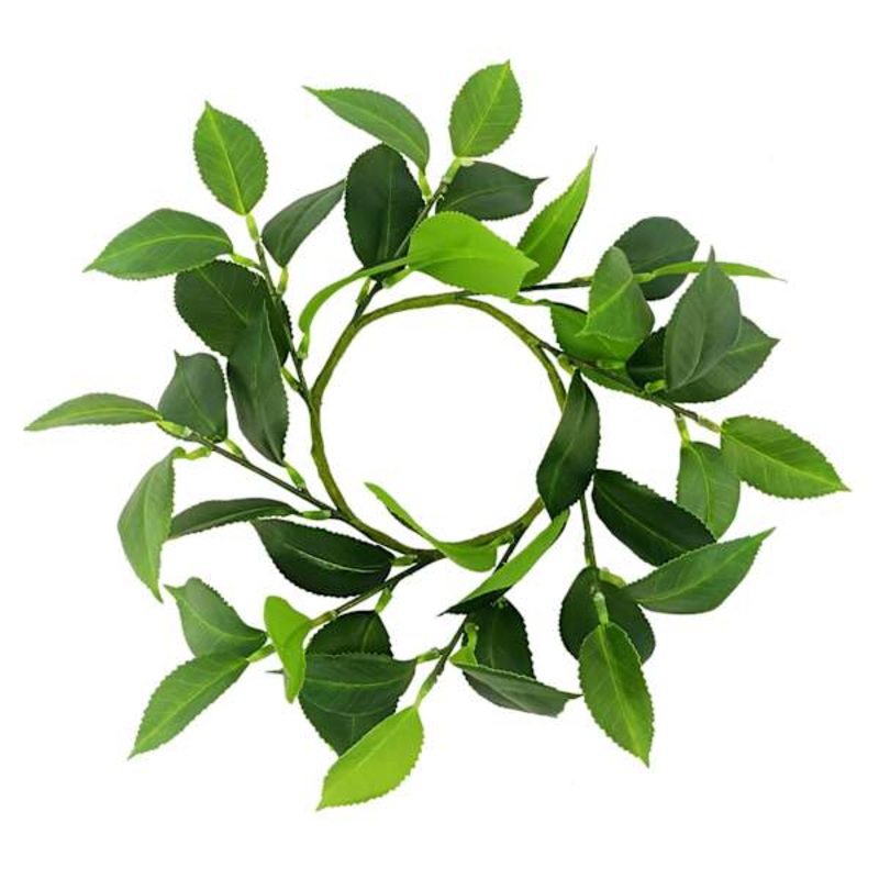 Willow Crossley Ruscus Leaf Candle Ring, 9″