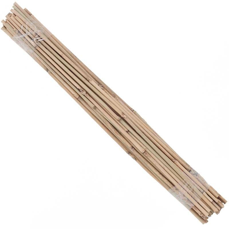 Bamboo Stakes – 2′ (Pack of 50)