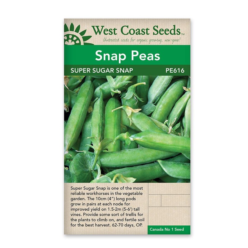 Peas Super Sugar seeds