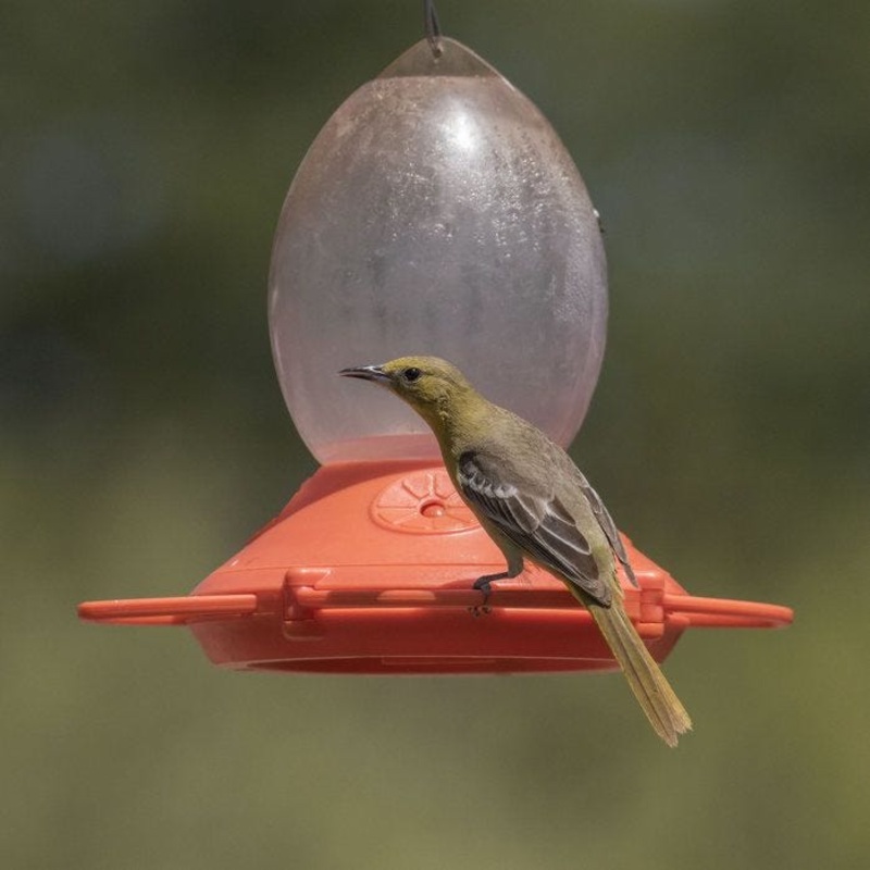 Perky-Pet Plastic Oriole Feeder