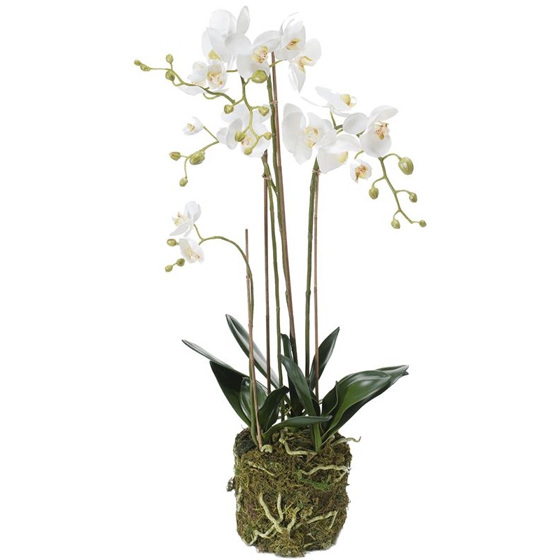 Phalaenopsis Artificial Plant Premium Faux 80cm Height
