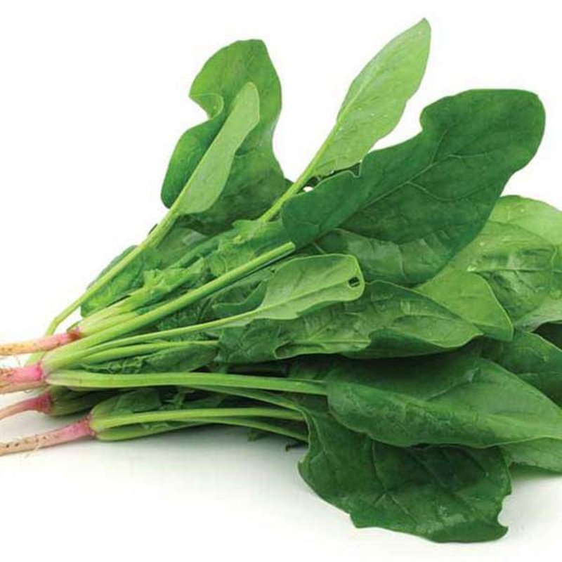 Spinach – Organic Vegetable Seeds