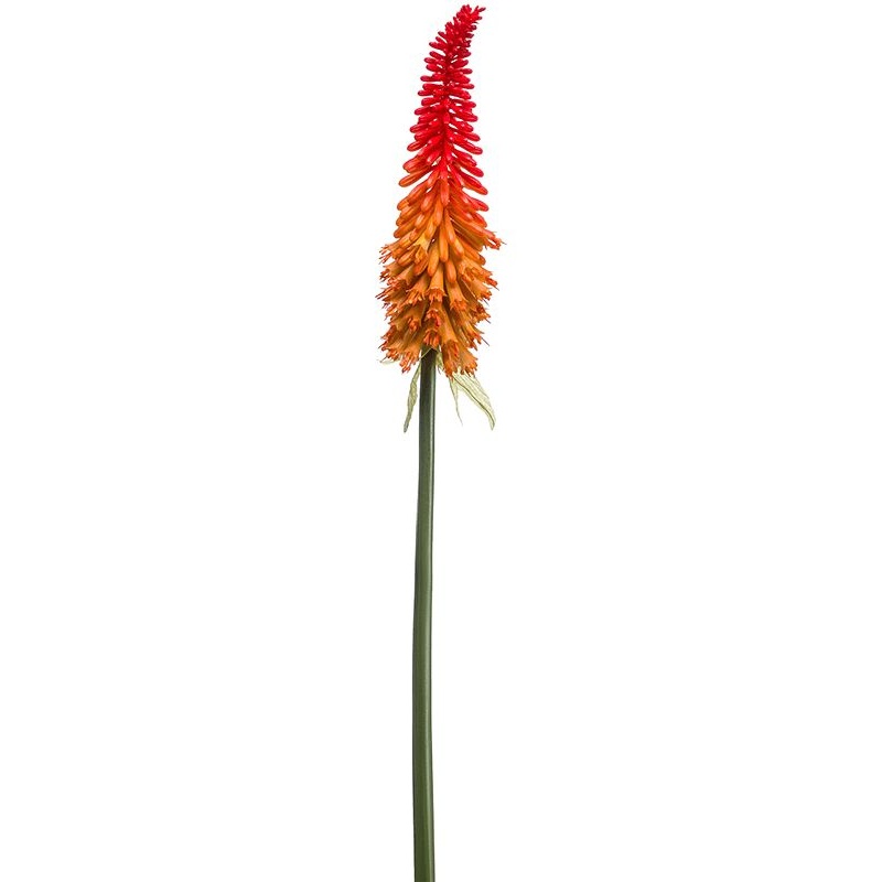 Kniphofia Artificial Plant Premium Faux 70cm Height