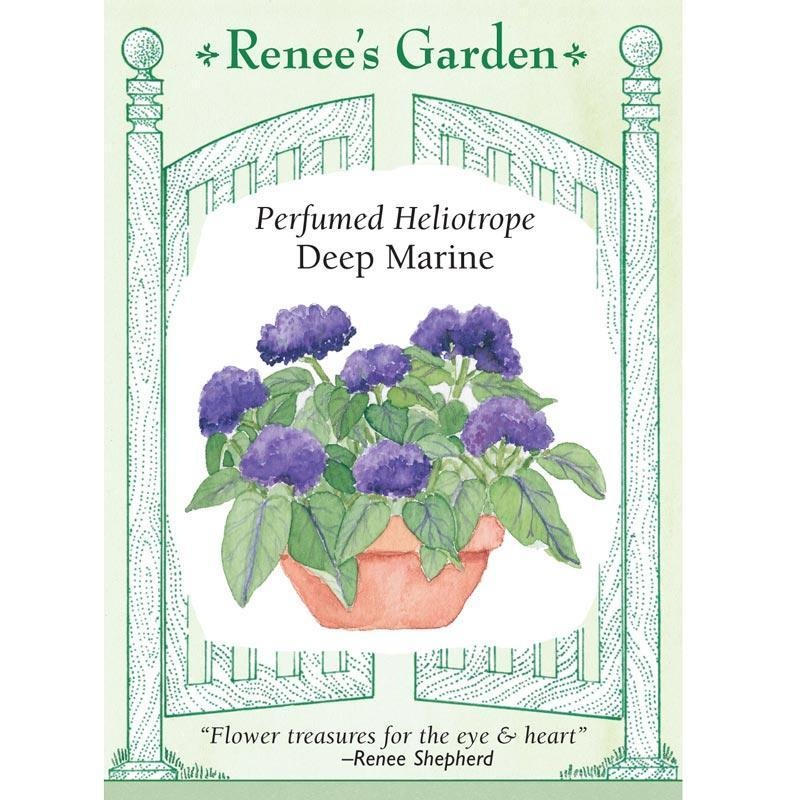 Deep Marine Heliotrope Flower Seeds