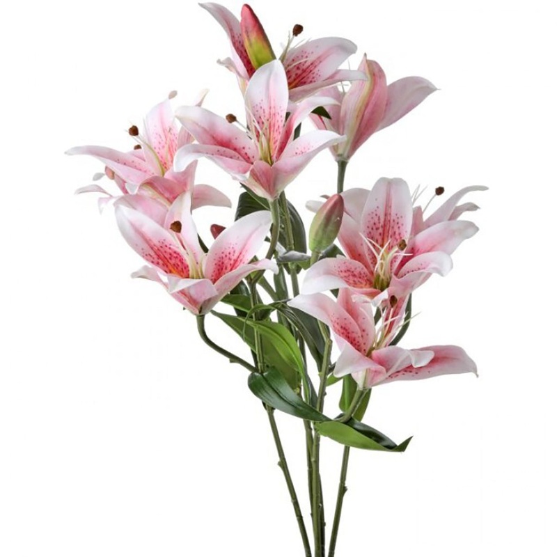 Natural Touch Rubrum Lily Plant Pink Everlasting