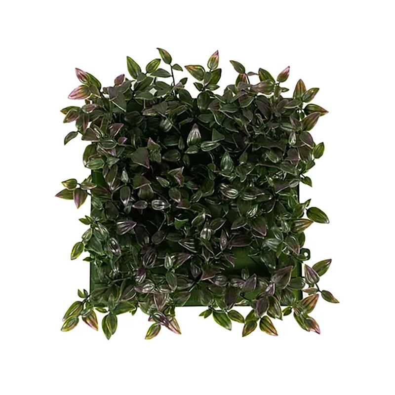 Wandering Jew Mat Purple 10X10In Everlasting