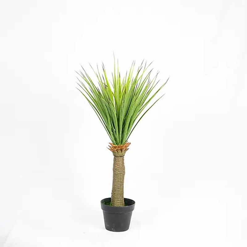 Dracena Plant 36In Everlasting