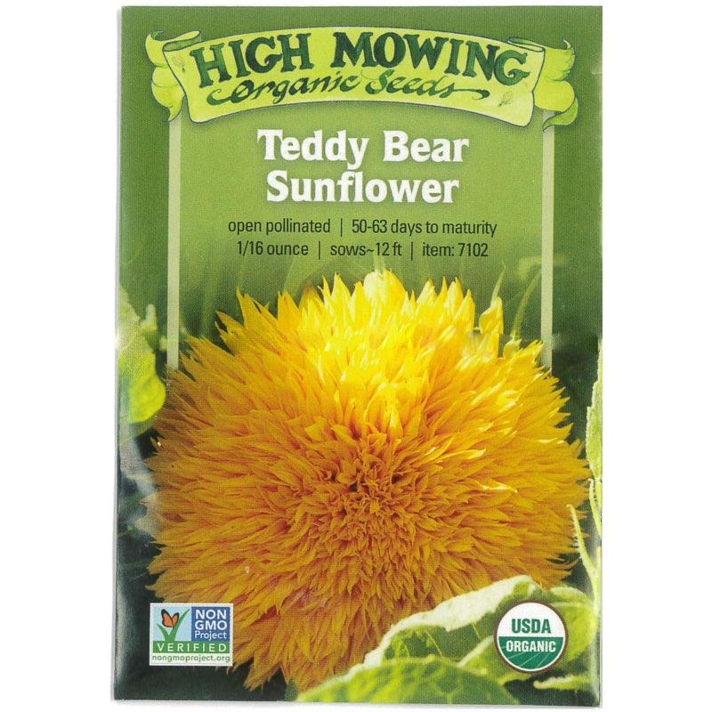 Teddy Bear Sunflower (Organic)