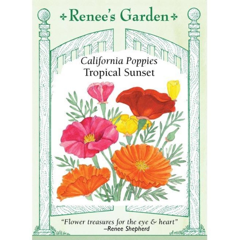 Tropical Sunset California Poppy Flower Seeds