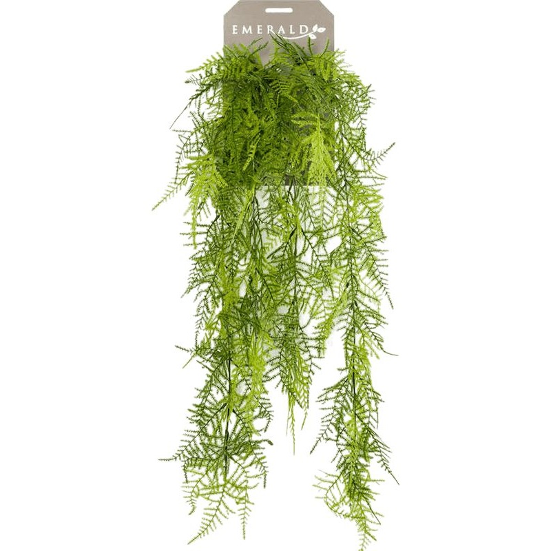 Asparagus Plumosus Artificial Plant Premium Faux 80cm Height
