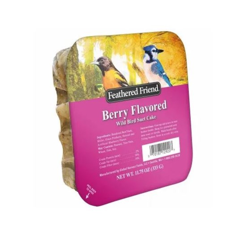 Feathered Friend Berry Flavored Suet Wild Bird Food 11.75 oz