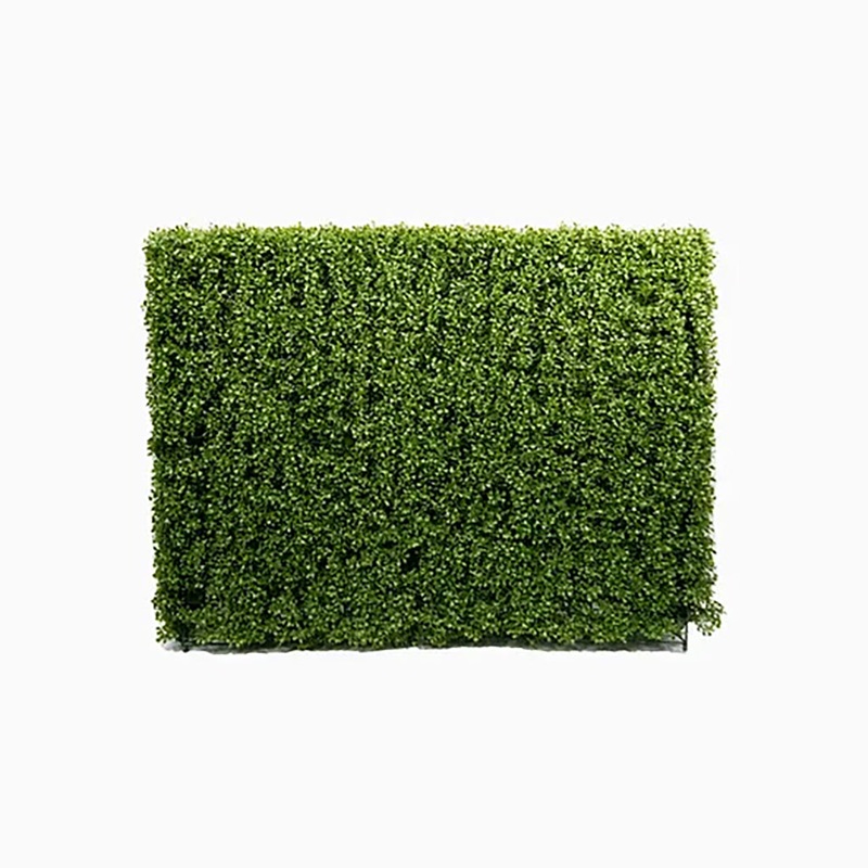 Boxwood Hedge 48X12X36In