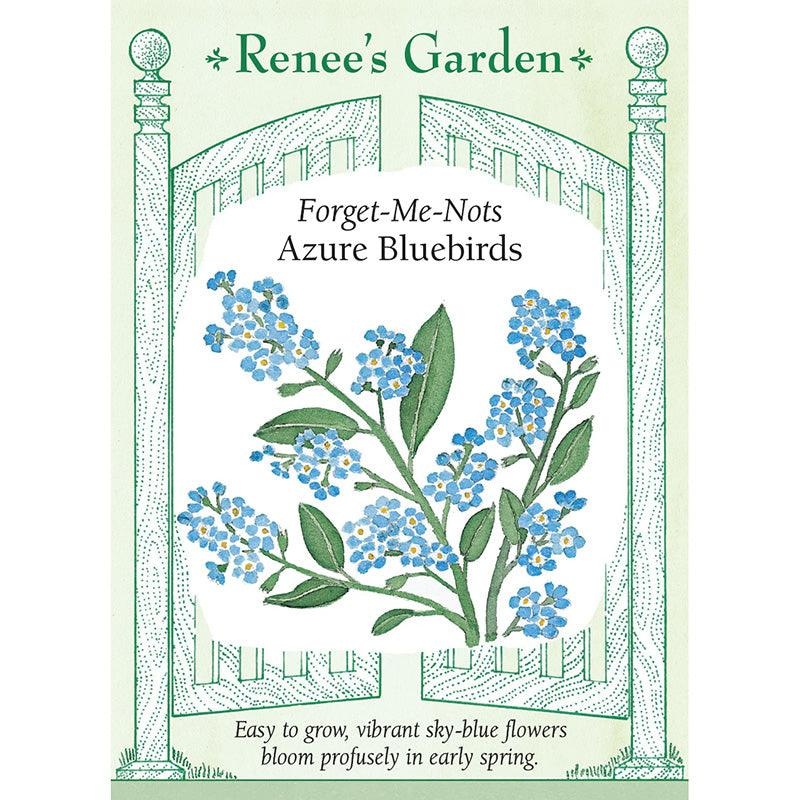 Forget-Me-Not Azure Bluebirds