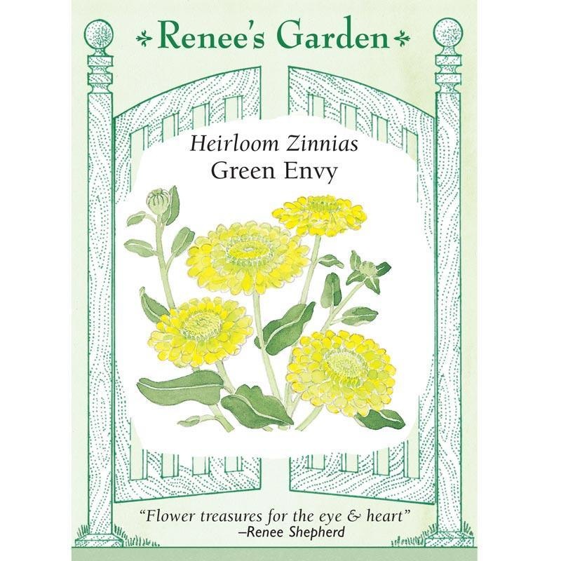 Green Envy Zinnia Flower Seeds