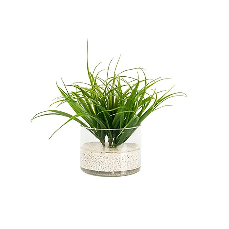 Tillansia Water Illusion White Sand Green Grass Everlasting