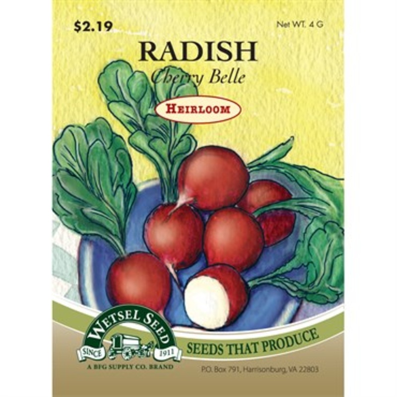Wetsel Seed Heirloom Radish – Cherry Belle