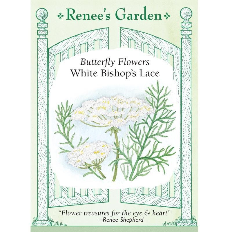 White Butterfly Bishop’s Lace Flower Seeds