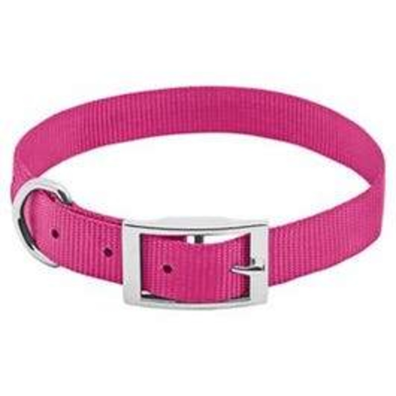 Dog Collar, Adjustable, Pink Nylon, Quadlock Buckle, 1 x 18 to 22-In.