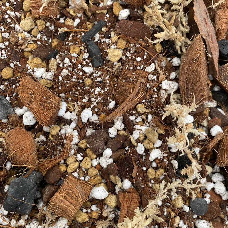 Terreau  hoyas et arodes 2L