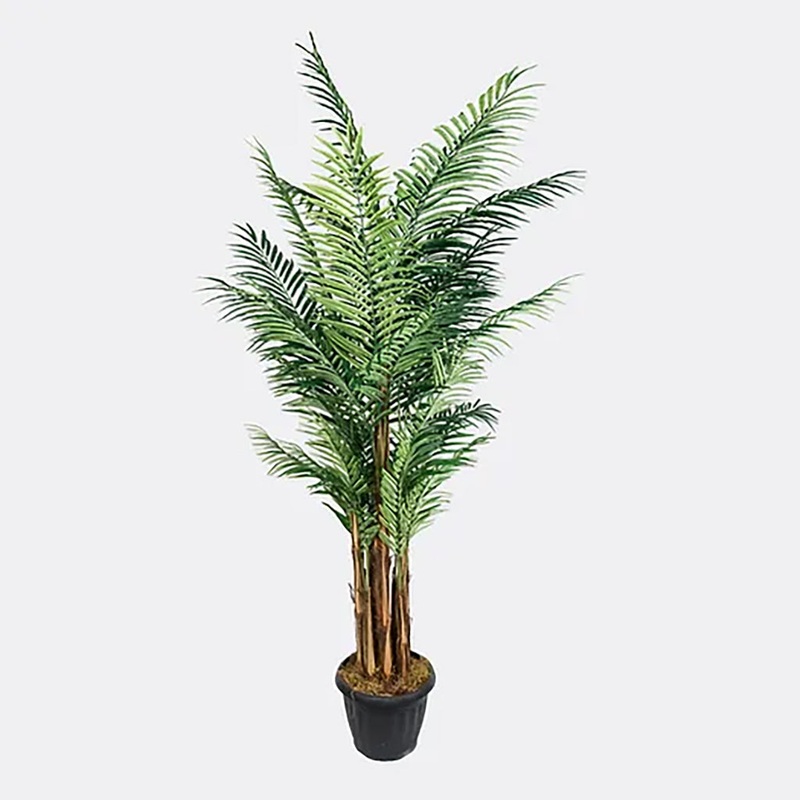 Areca Palm W/ Raphis Trunk 9Ft Everlasting