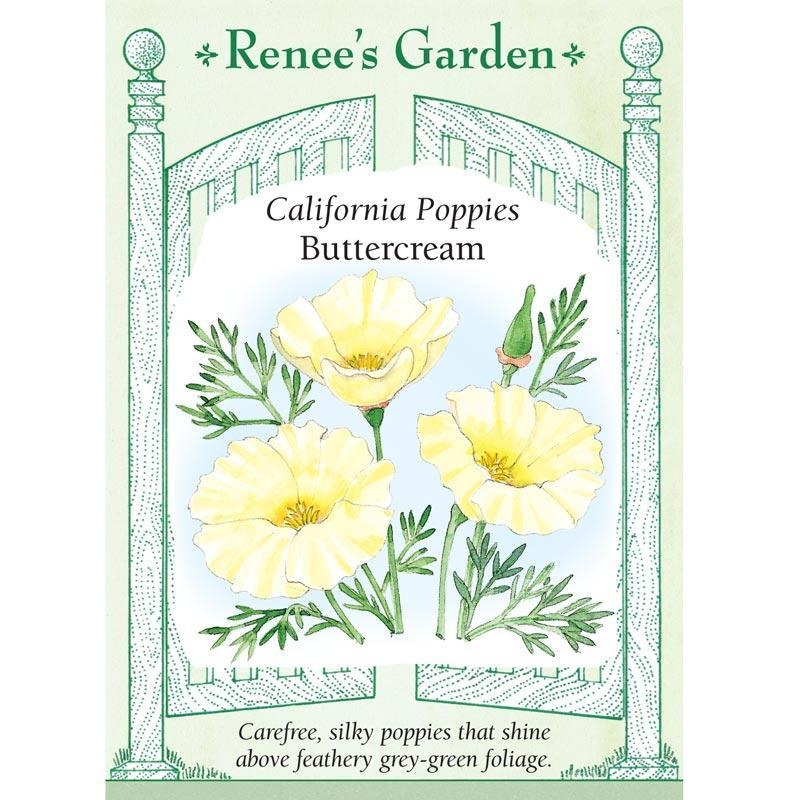 Buttercream California Poppy Flower Seeds