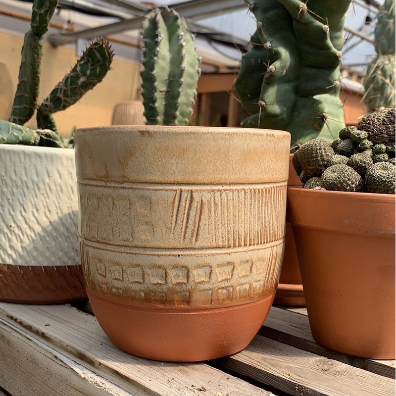 Pot Lushy Default Title