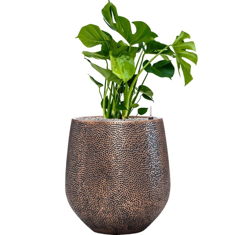 Monstera deliciosa in Baq Opus Hit Office Plant With Pot 96cm Height 30cm Dia