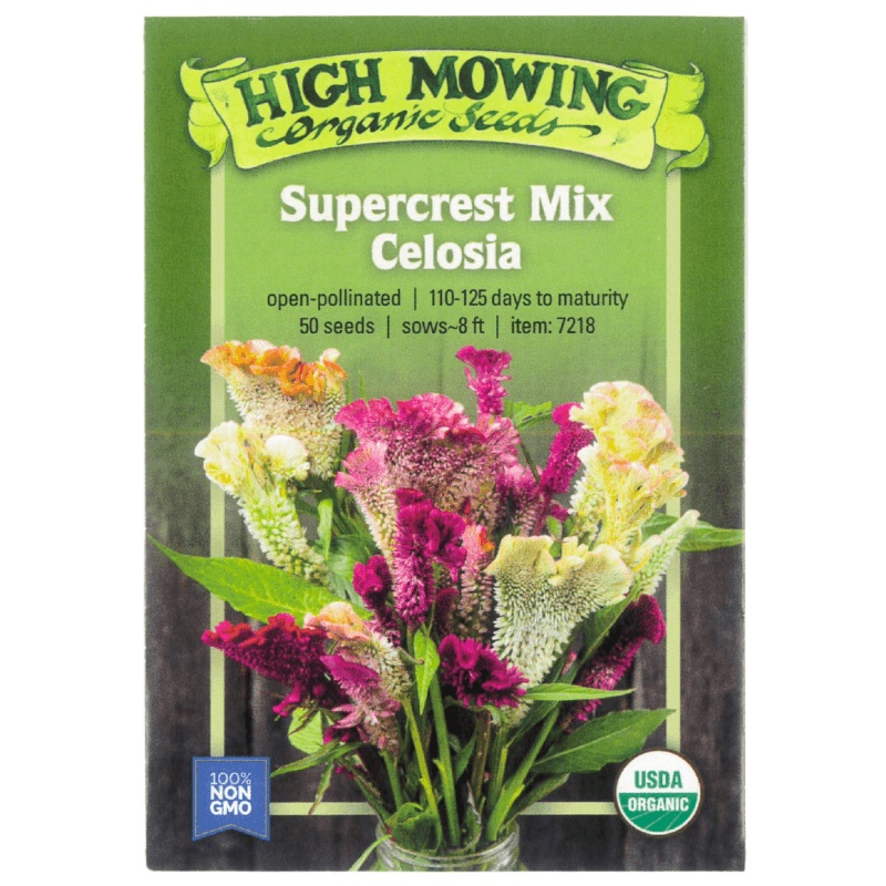 Supercrest Celosia (Organic)
